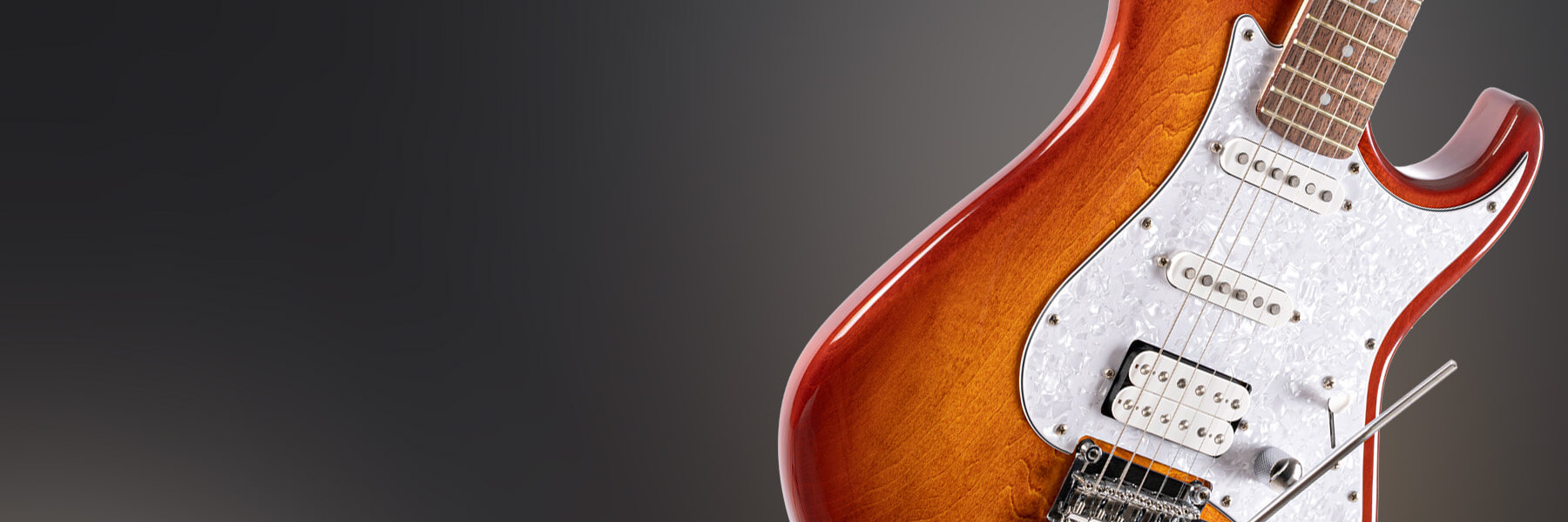 cort g series G250 electric guitar key feature 2