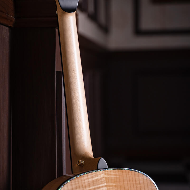 cort gold gold passion gitar listrik akustik fitur 1