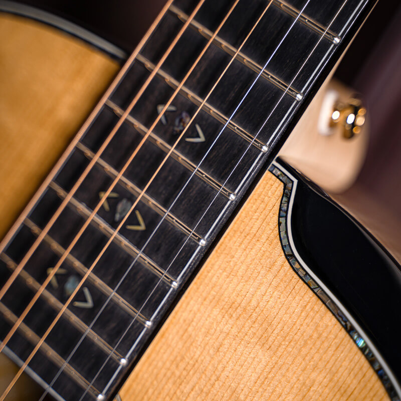 cort gold gold passion gitar listrik akustik fitur 2