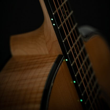 cort gold gold passion gitar listrik akustik fitur 5