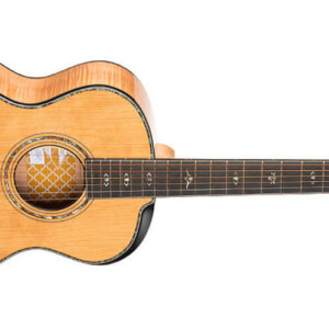 Cort Gold Gold Passion Guitare électrique acoustique Grid