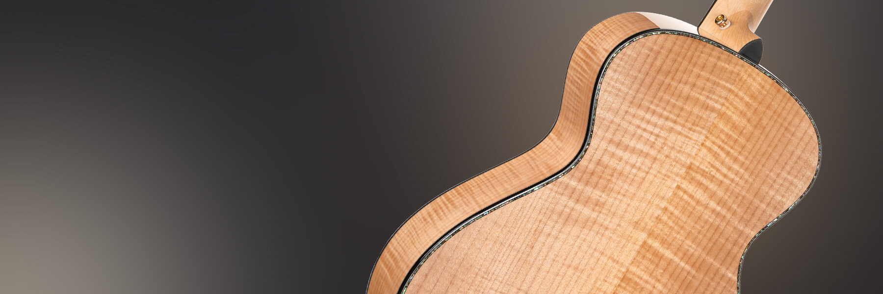 cort gold gold passion fitur kunci gitar listrik akustik fitur 2