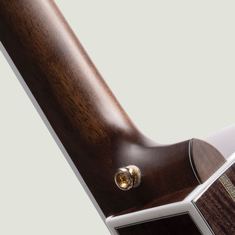 cort gold oc8 guitarra acústica característica mástil perfil