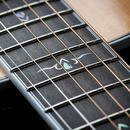 cort gold gold oc8 nylon guitarra eléctrica acústica característica 10