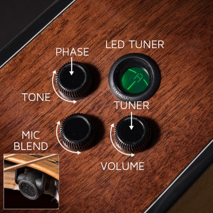 Cort Gold Gold OC8 Guitare électrique acoustique en nylon Caractéristique 4