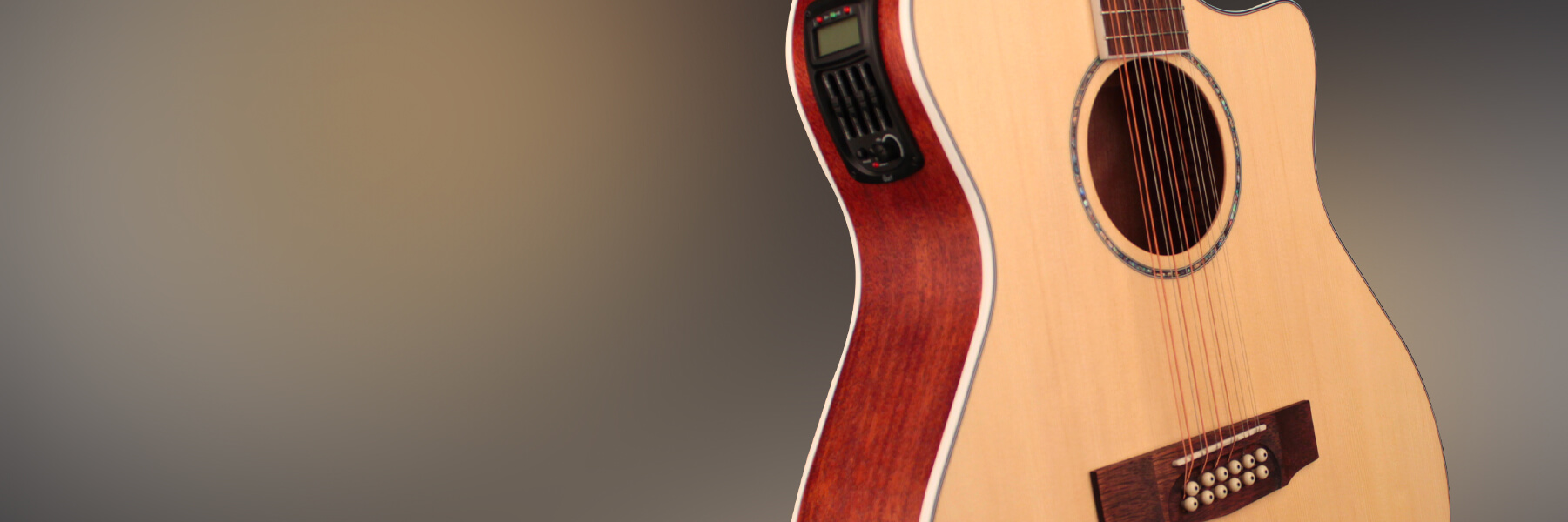 cort grs ga medx 12 akustische gitarre hero