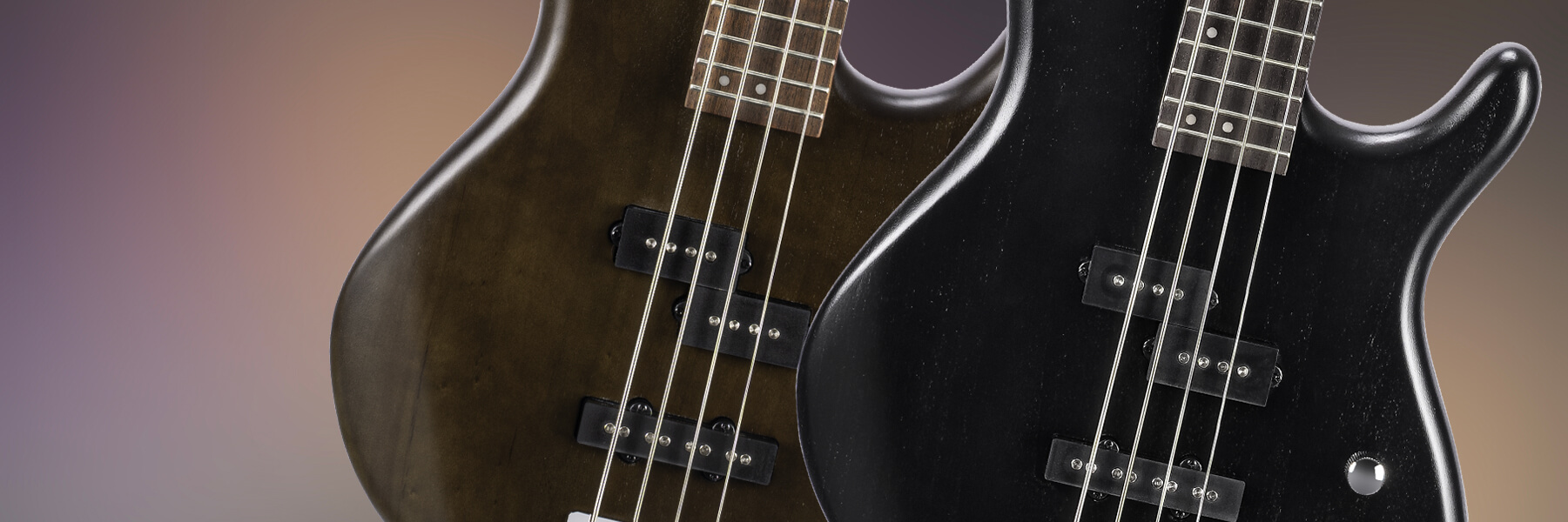 cort action pj bass guitar hero