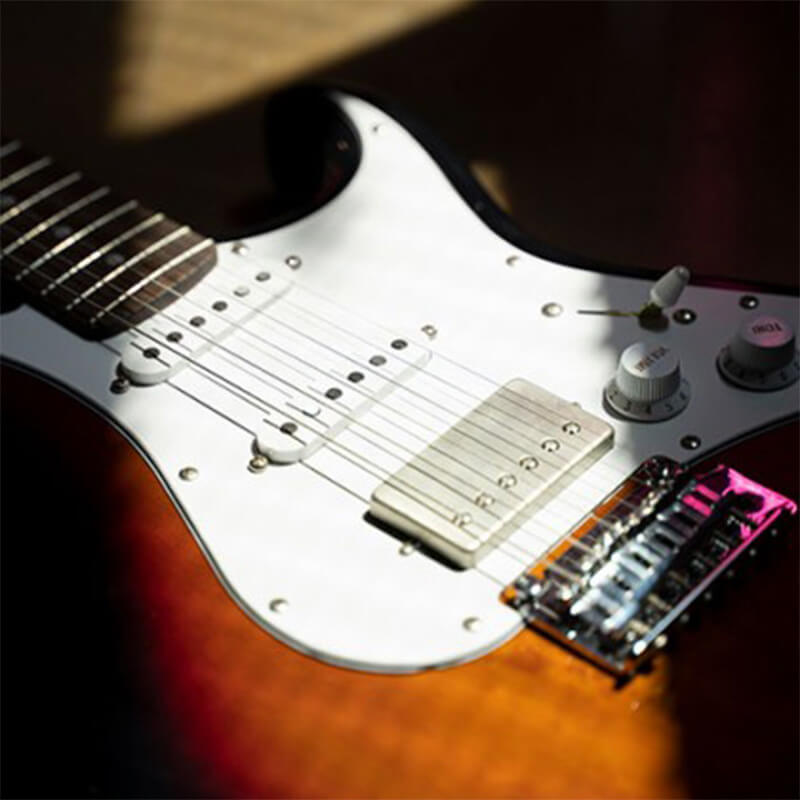 cort g g260CS E-Gitarre Merkmal 1