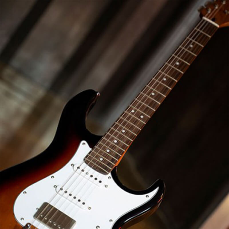 cort g g260CS E-Gitarre Tastenfunktion 3