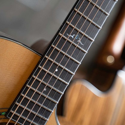 cort gold a6 bocote acoustic electric guitar feature 6