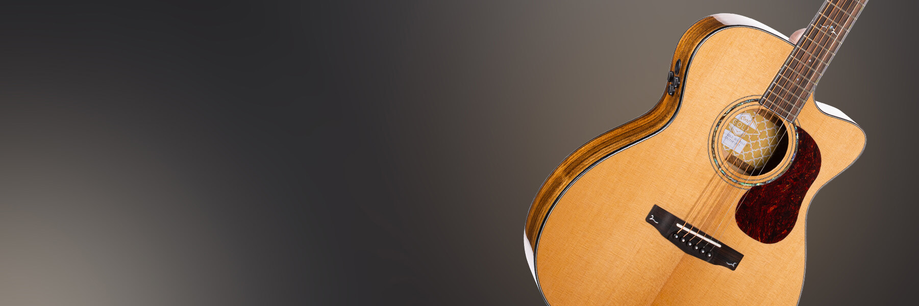 cort gold oc6 bocote acoustic electric guitar hero