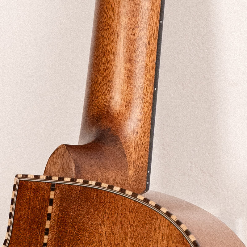 cort masterpiece solencanto guitarra eléctrica acústica característica 5a