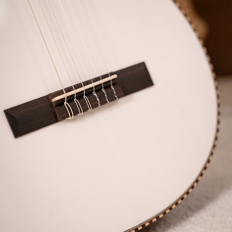 cort masterpiece solencanto guitarra eléctrica acústica característica 6