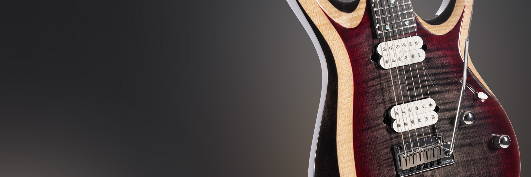 cort x700 duality II E-Gitarre Hauptmerkmal 3