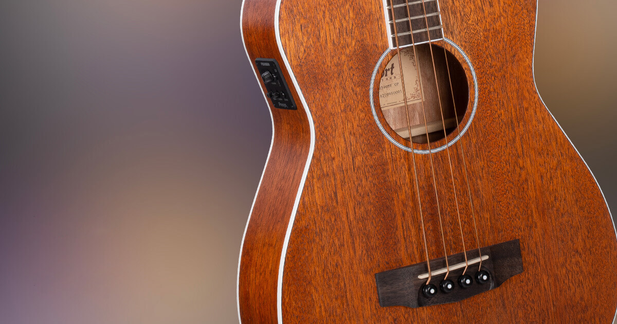 Acoustic Bass AB590MF