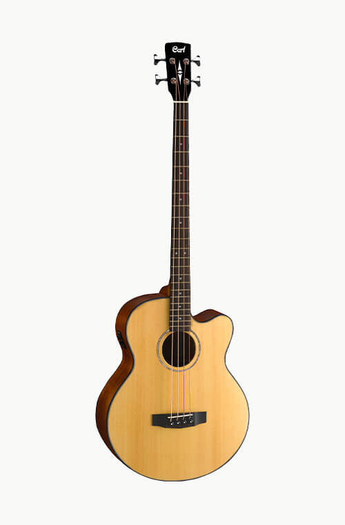 Acoustic Bass AB850F