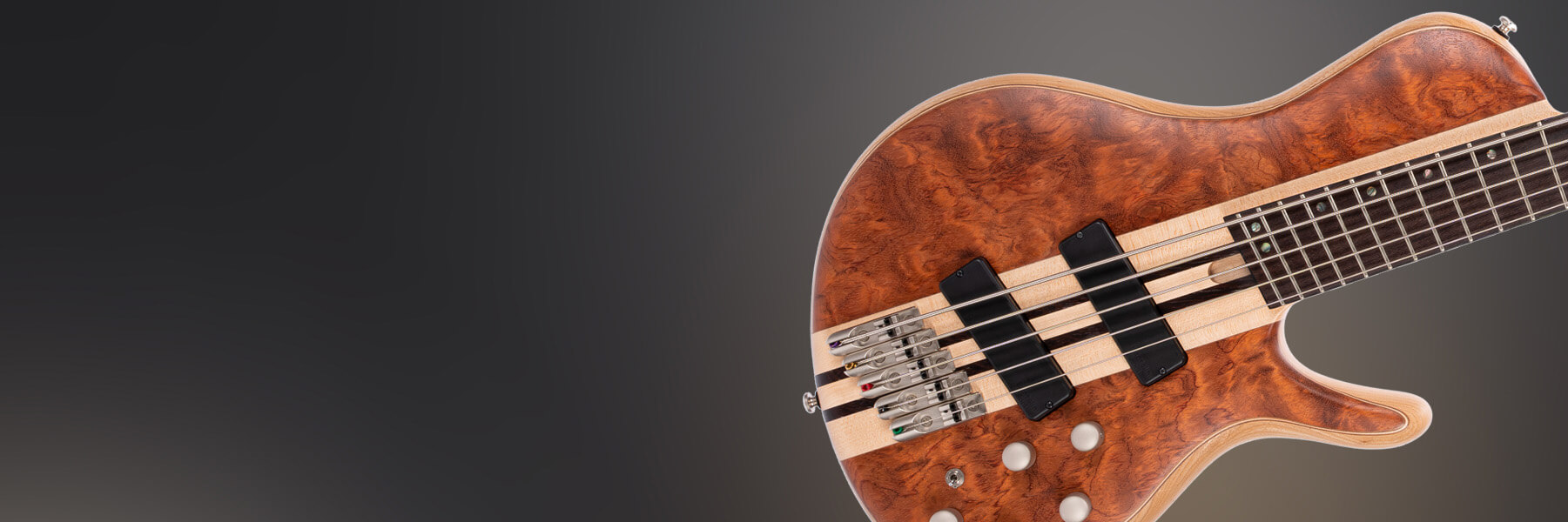 cort artisan a5 beyond electric bass guitar hero