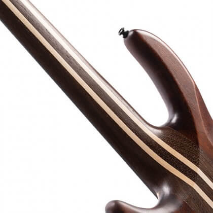 Cort Artisan A5 Ultra Ash Guitare Basses Caractéristique 5