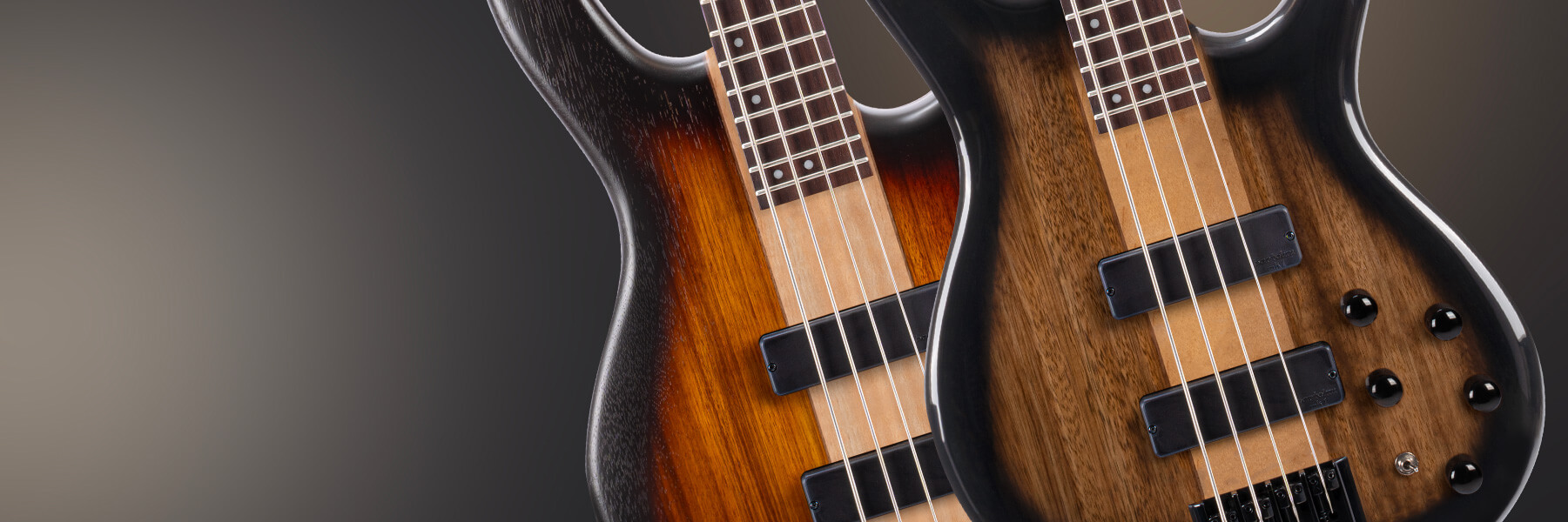 cort artisan c4 zbmh basses guitar hero