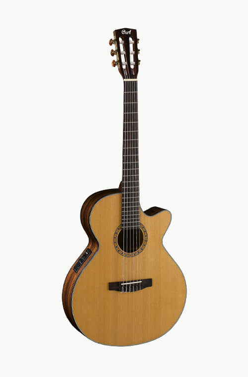 Cort Artist Ralf Sommerfeld Grille 1