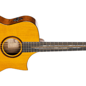 Cort Frank Gambale Luxe II Guitare Acoustique Horiz