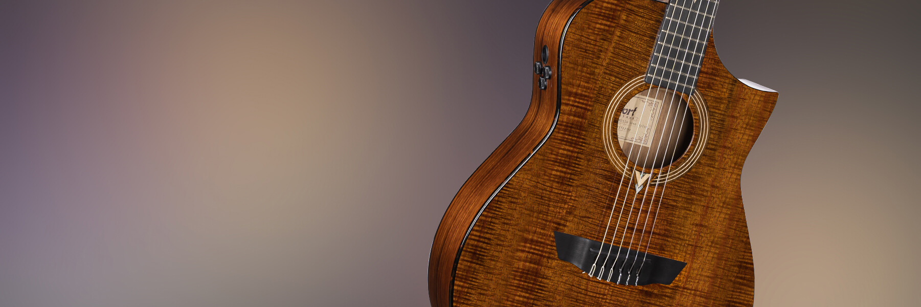Cort Frank Gambale Luxe Nylon Guitare Acoustique Hero