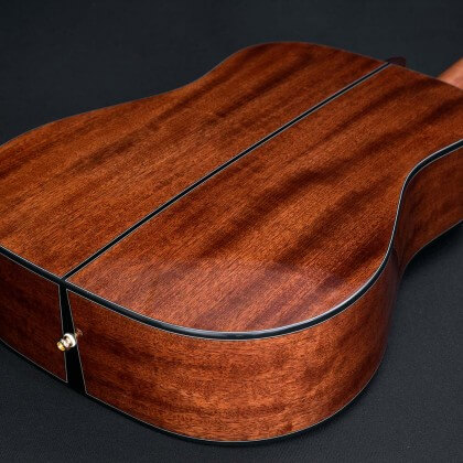 Guitare acoustique Cort Gold D6 Caractéristique 3