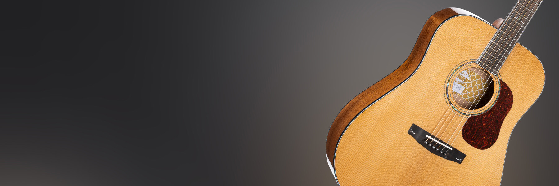 Cort Gold D6 Guitare Acoustique HERO