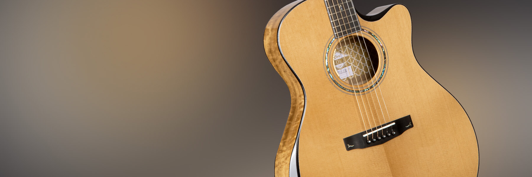 Cort Gold Edge Acoustic-Electric Guitar Hero