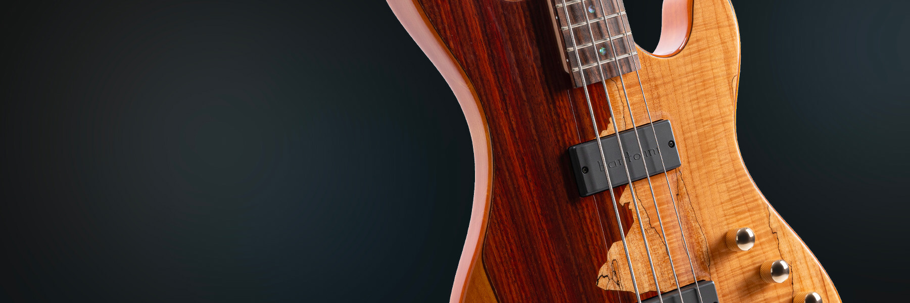 cort jeff berlin rithimic basses guitar hero