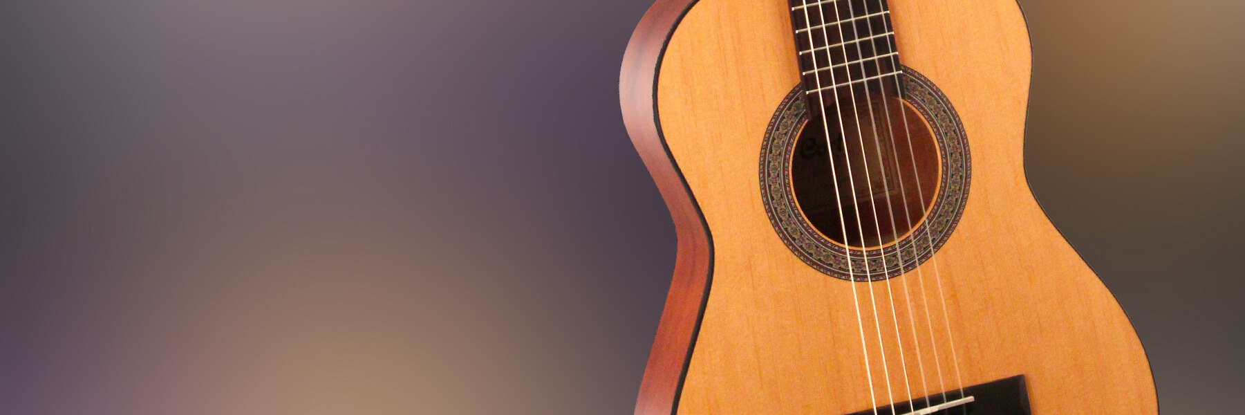 cort classic ac 50 acoustic guitar hero