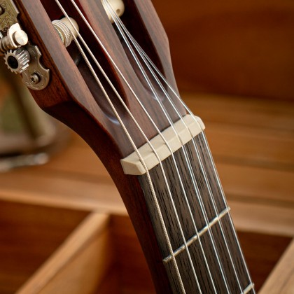 gitar akustik cort classic cec3 fitur 4