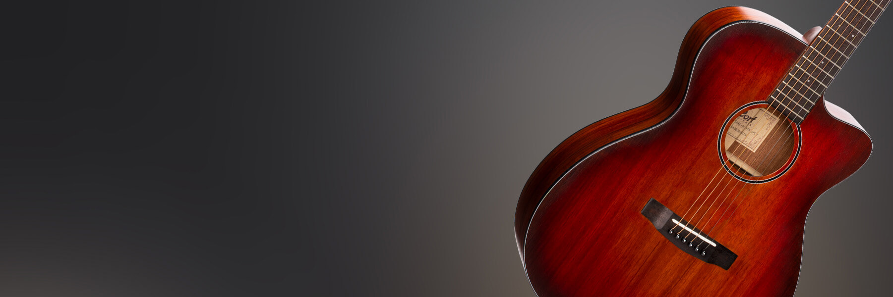 cort core oc blackwood acoustic electric guitar hero