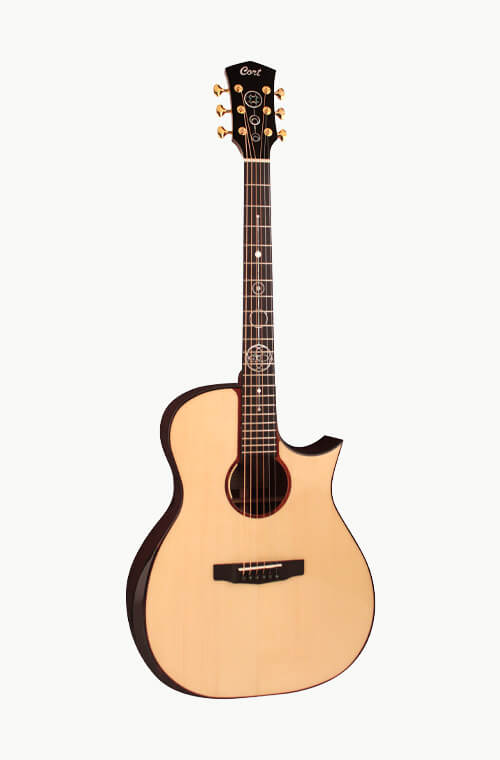 cort limited edition ga le pf acoustic guitar grid