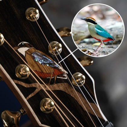 cort limited edition little forest angel acoustic guitar feature 1