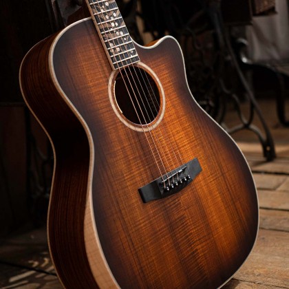 cort limited edition the black tree acoustic guitar feature 1