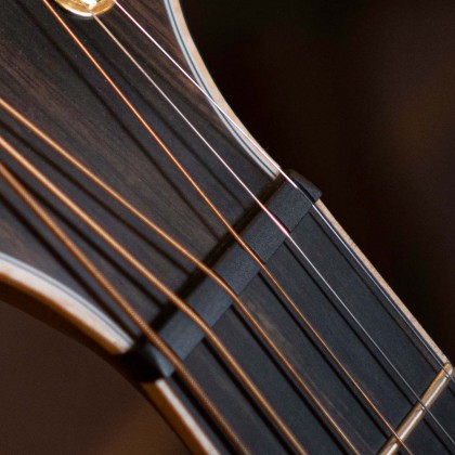 cort limited edition the black tree acoustic guitar feature 12