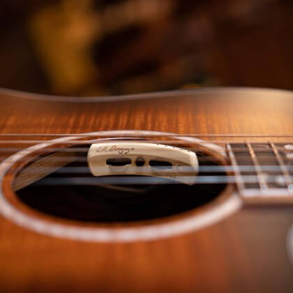 cort limited edition the black tree acoustic guitar feature 4