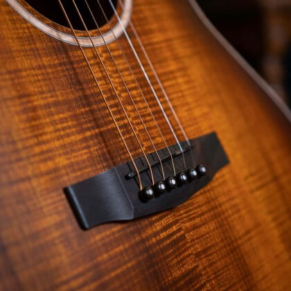 cort limited edition the black tree acoustic guitar feature 5