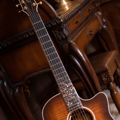 cort limited edition the black tree acoustic guitar feature 8