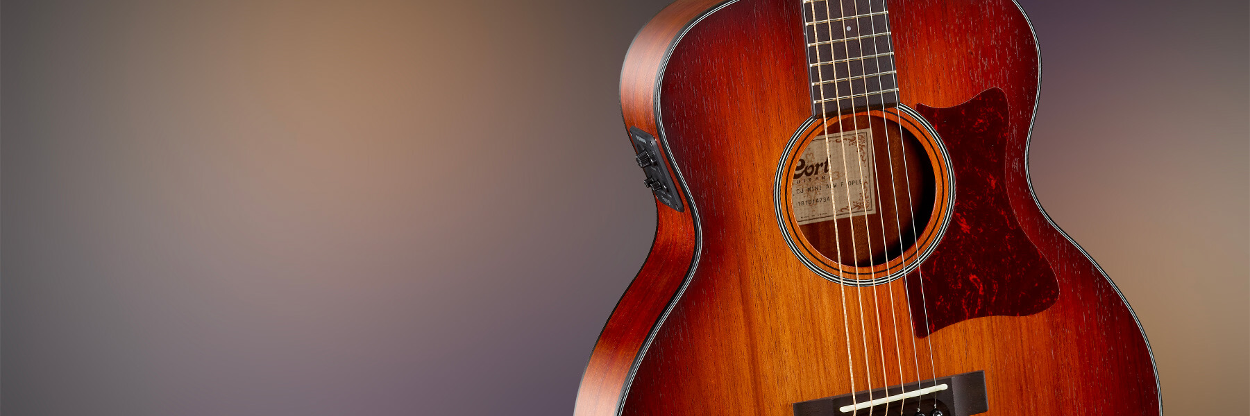 cort little cj blackwood acoustic guitar hero