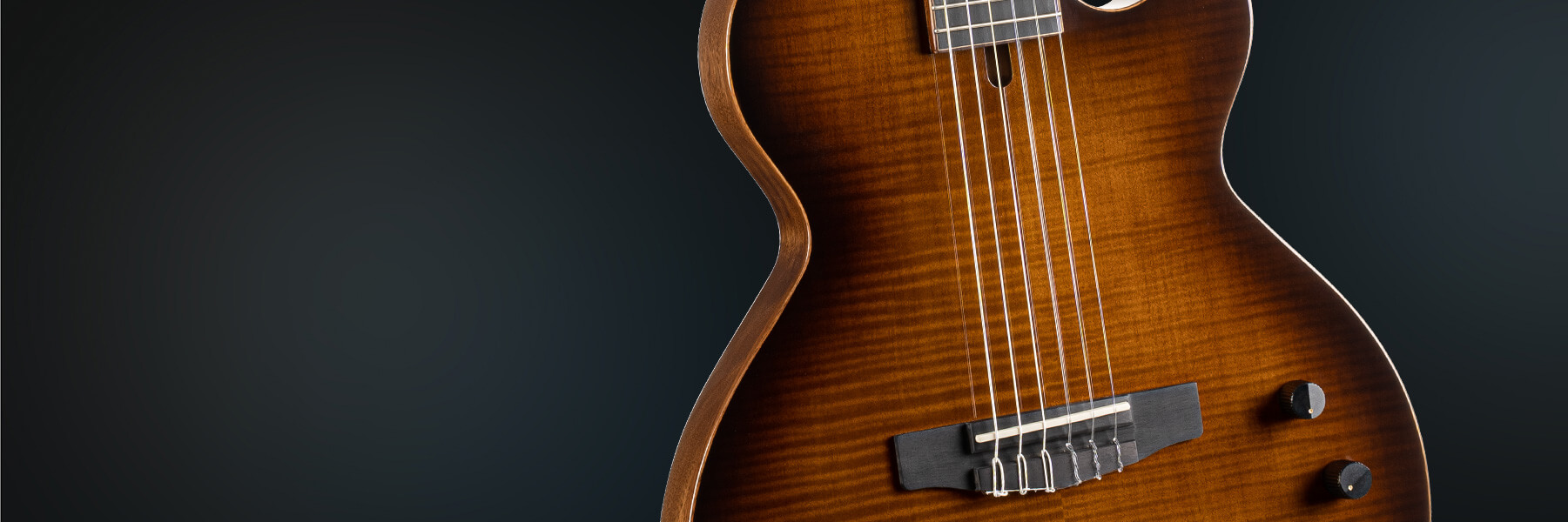 cort sunset nylectric dlx electric guitar hero