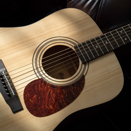 Cort Earth Pack Akustikgitarre Feature 2