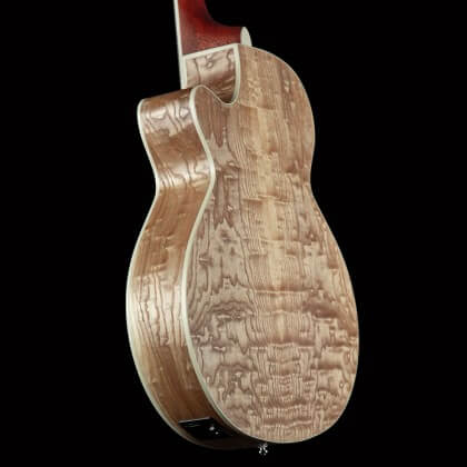 fitur gitar listrik akustik cort sfx ab 2