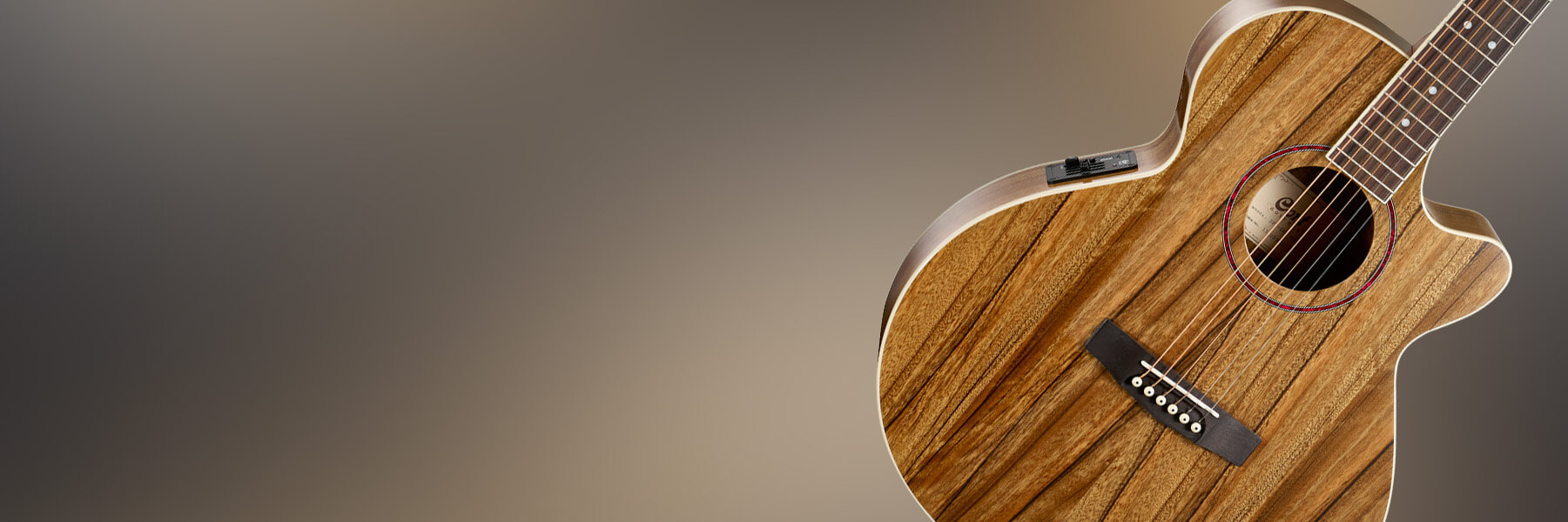 cort sfx dao gitar listrik akustik pahlawan