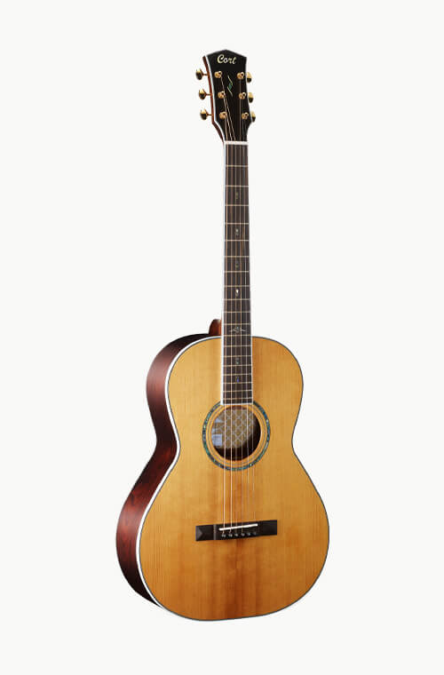 Cort gold p8 acoustic guitar grid