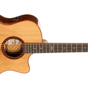 Gold-A10 Cocobolo