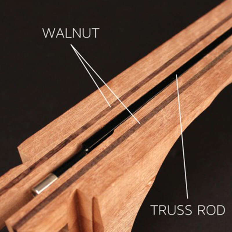 Cort Modern Burst guitar walnut and truss Rod