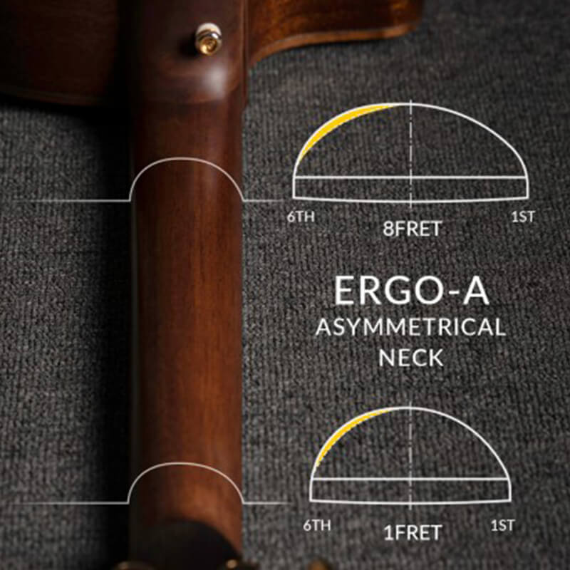 Cort Modern Burst guitar Ergo-A Asymmetric neck profile