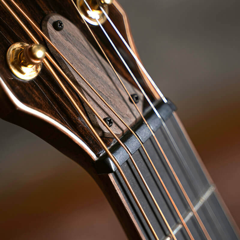 Cort Modern Burgundy Fretboard on Closeup